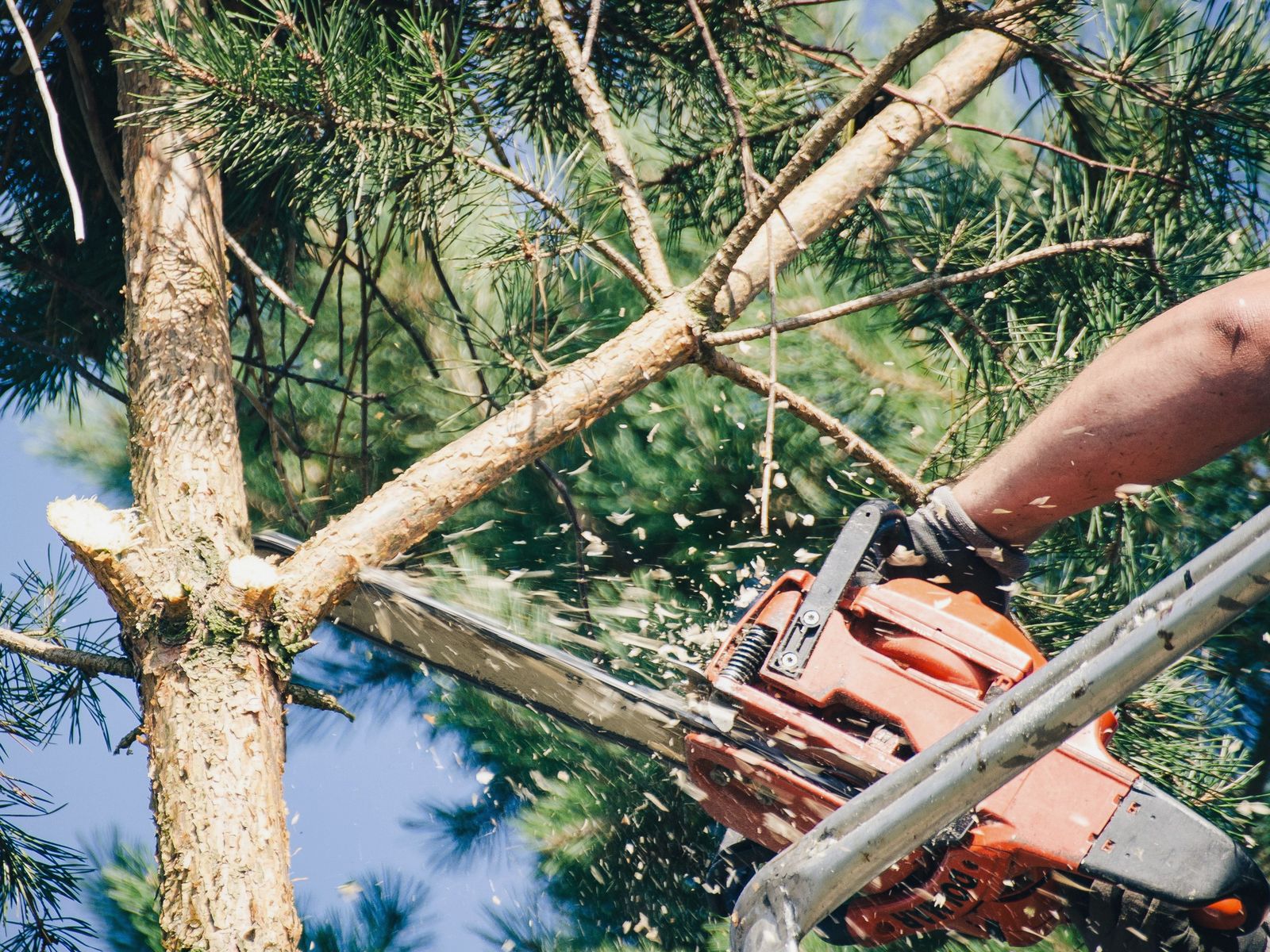E and R Tree Services