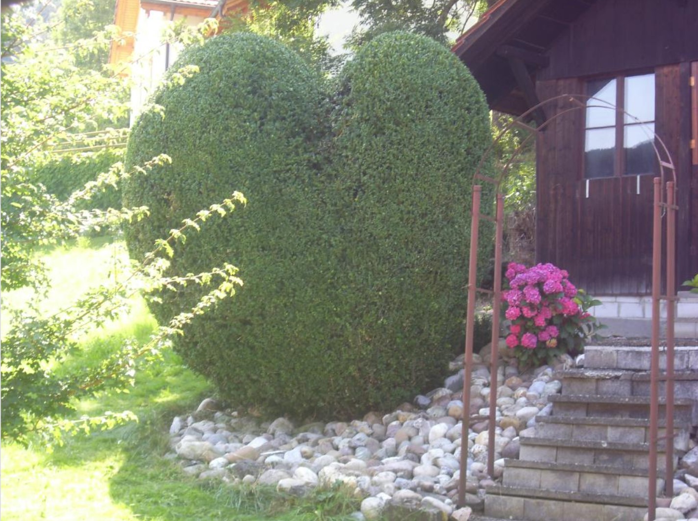 Bilder Duttweiler Jürg