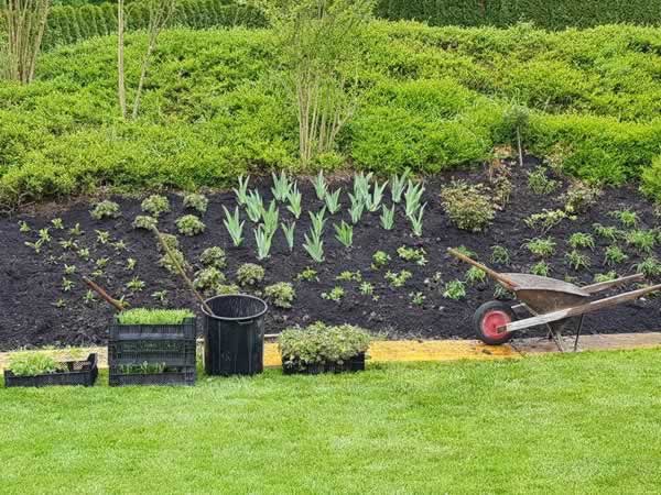 Bilder BRÜHWILER-GARTENBAU, BAUMPFLEGE