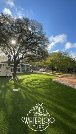 Images Waterloo Turf Austin