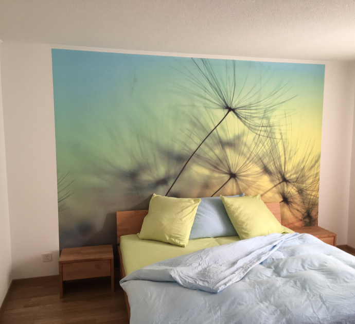 Probst Malergeschäft GmbH, Ahornweg 2 in Worb