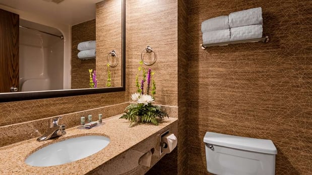 Images Best Western Detroit Livonia