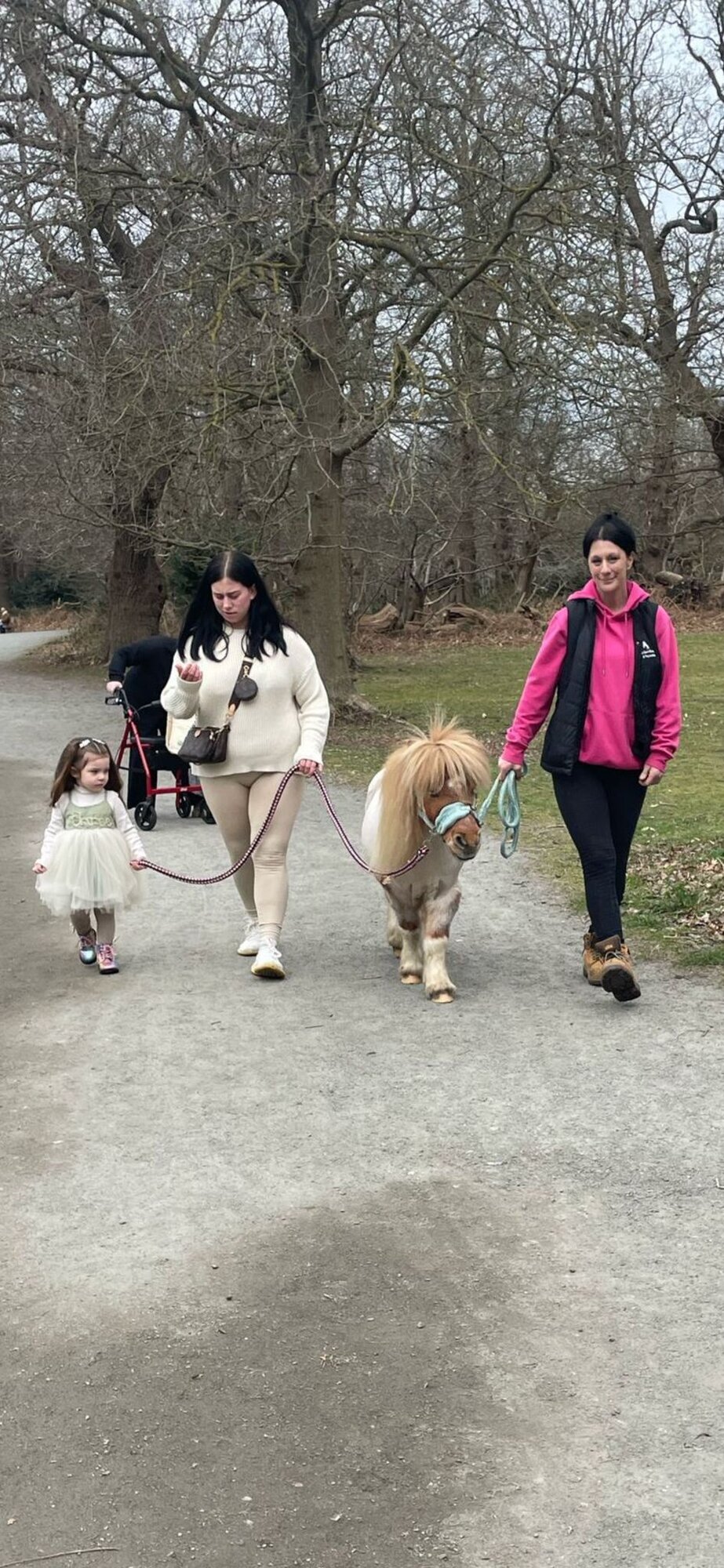 Images Kent Equine Therapy Ponies