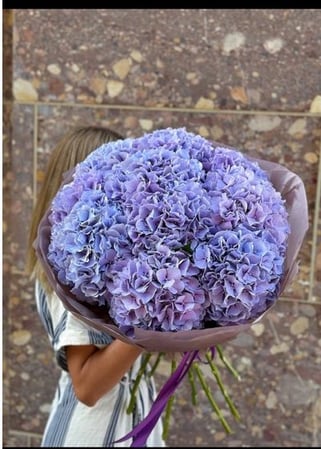 Bilder Flowers Art & Design
