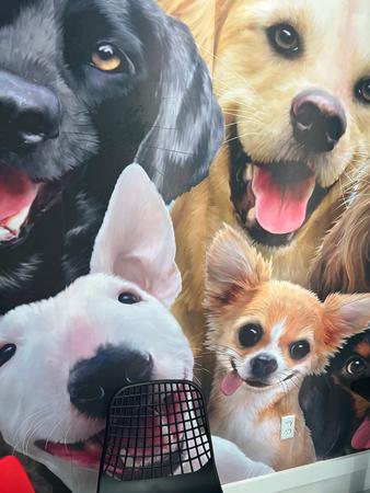 Images Pediatrics and Family Care