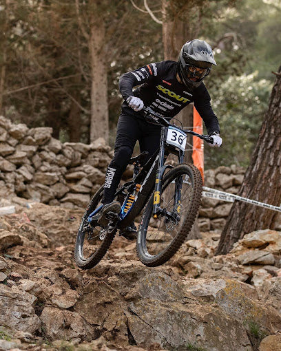 Images Scout Bike
