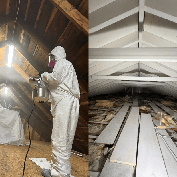 Images Quality Mold Remediation LLC