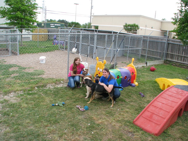 Images Tomball Pet Resort