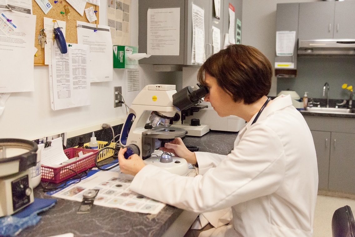 Dr. Sue Floyd examines a diagnostic test using a microscope in our convenient, fully equipped in-house lab. We are able to perform urinalysis, parasite testing, fungal cultures, blood work, and much more.