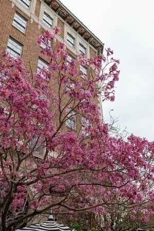 Images The Culver Hotel