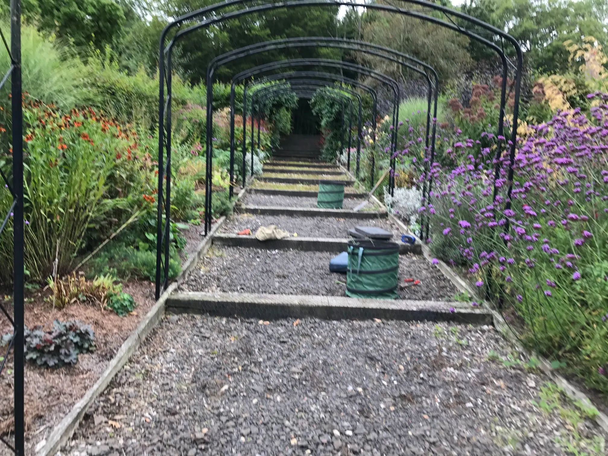 Images Prostyle Gardening & Home Services