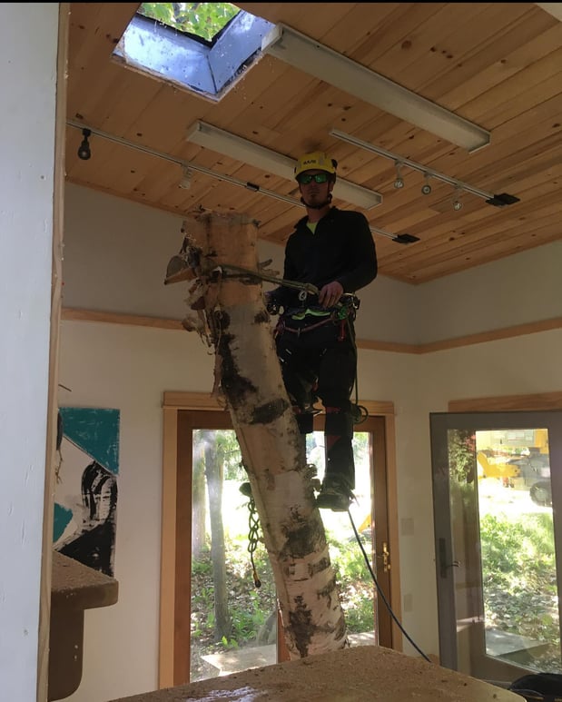 Images Deering Tree Service