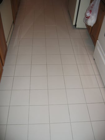 Images Carine Chem-Dry