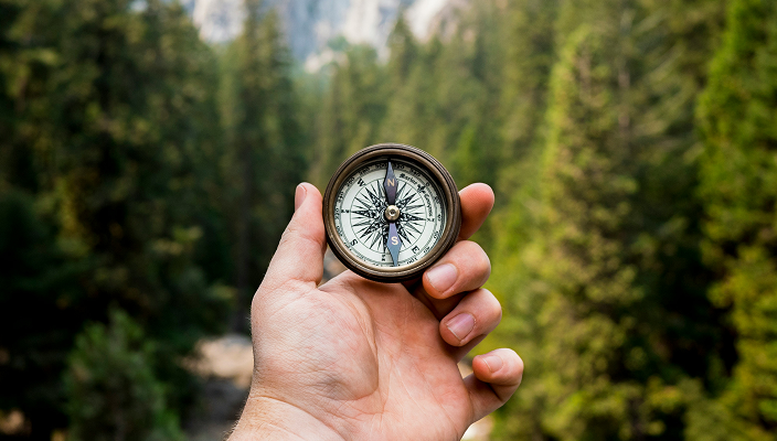 Close-up of a person holding a compass in a beautiful tree-dense landscape.