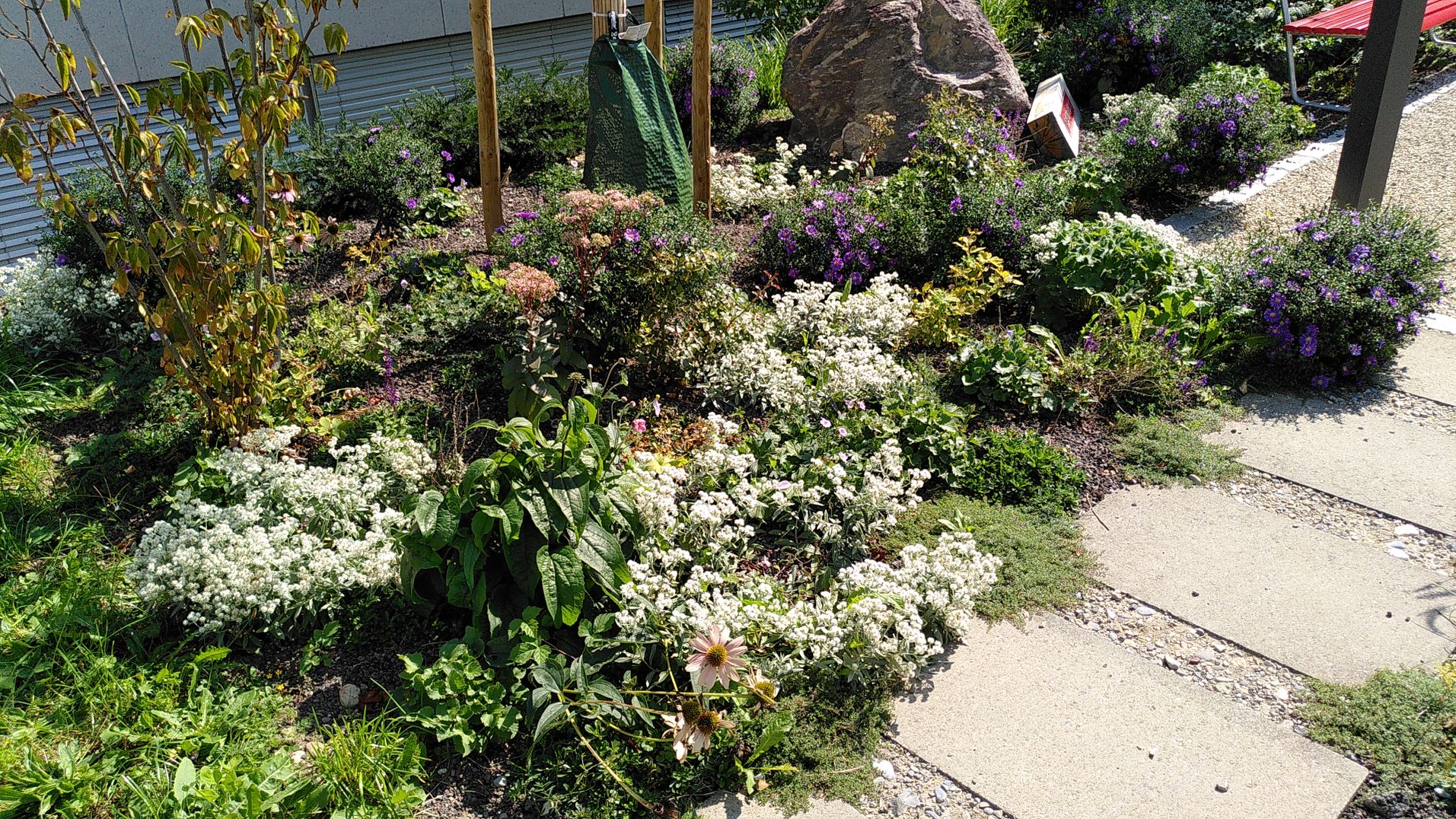 Bilder Fellmann Gartenbau AG