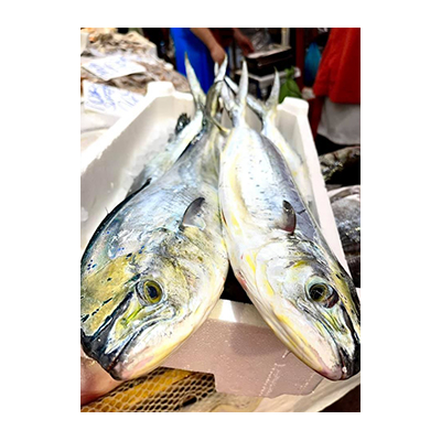 Falpesca Risto-Pescheria