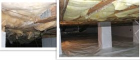 Images Strand Termite & Pest Control