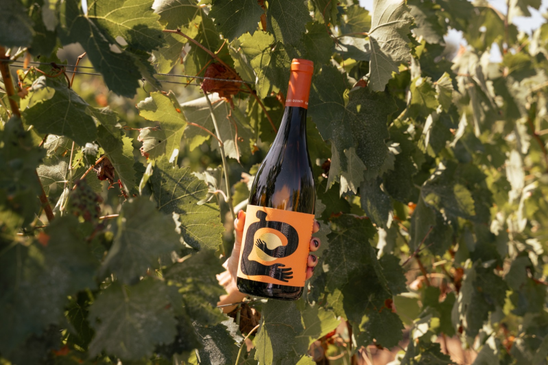 Images Cantina dei Quinti