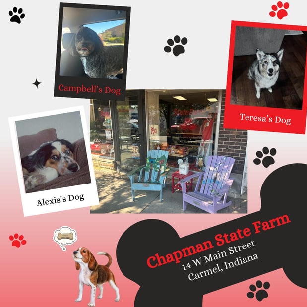 Images Teresa Chapman - State Farm Insurance Agent