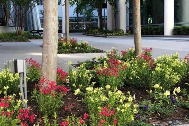 Images CGreens Landscape / Irrigation / Drainage