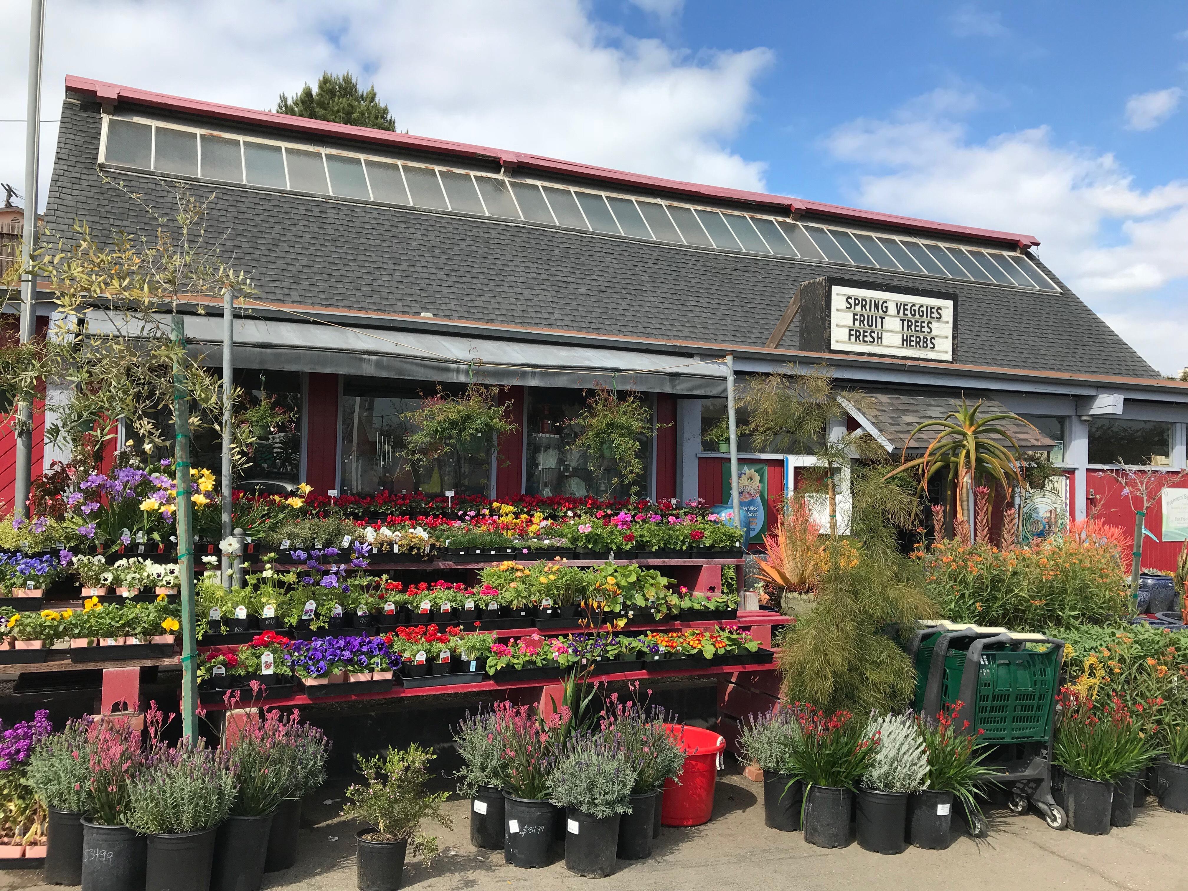 Browse our garden center and speak to our experts.