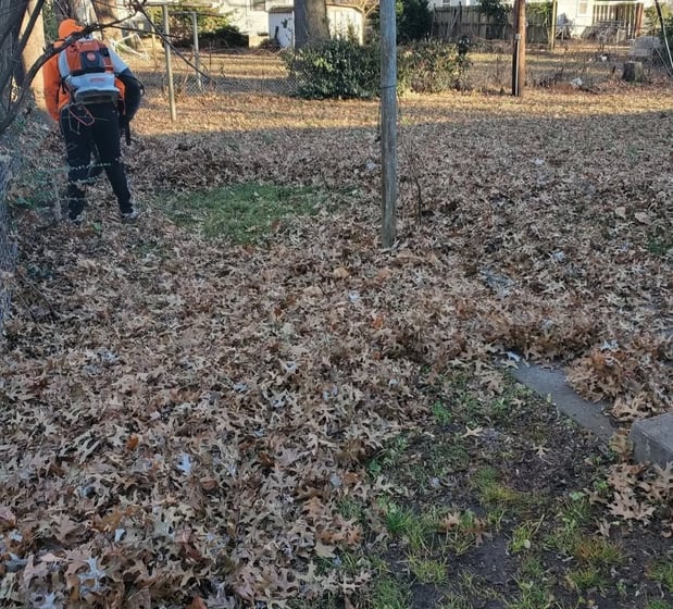 Images Cooks Lawn Care Service