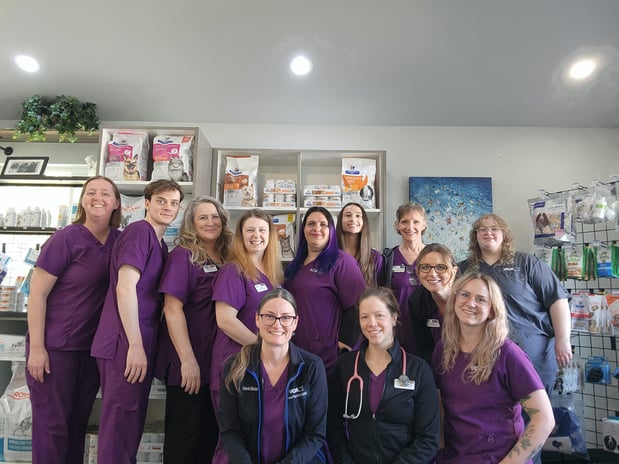 Images VCA Peone Pines Animal Hospital