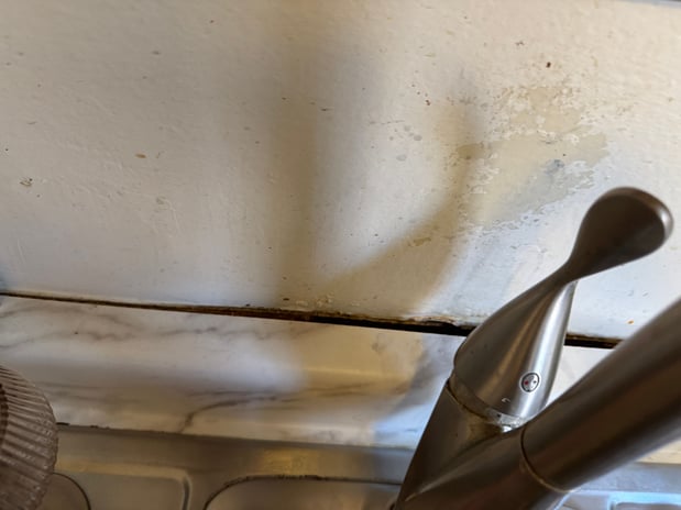 Images 24H Mold Inspection of Newport Beach