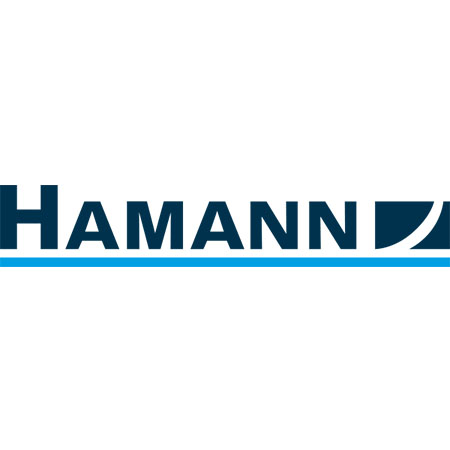 HAMANN & Co. GmbH Steuerberatungsgesellschaft Standort Güglingen in Güglingen - Logo