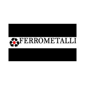 Ferrometalli Logo