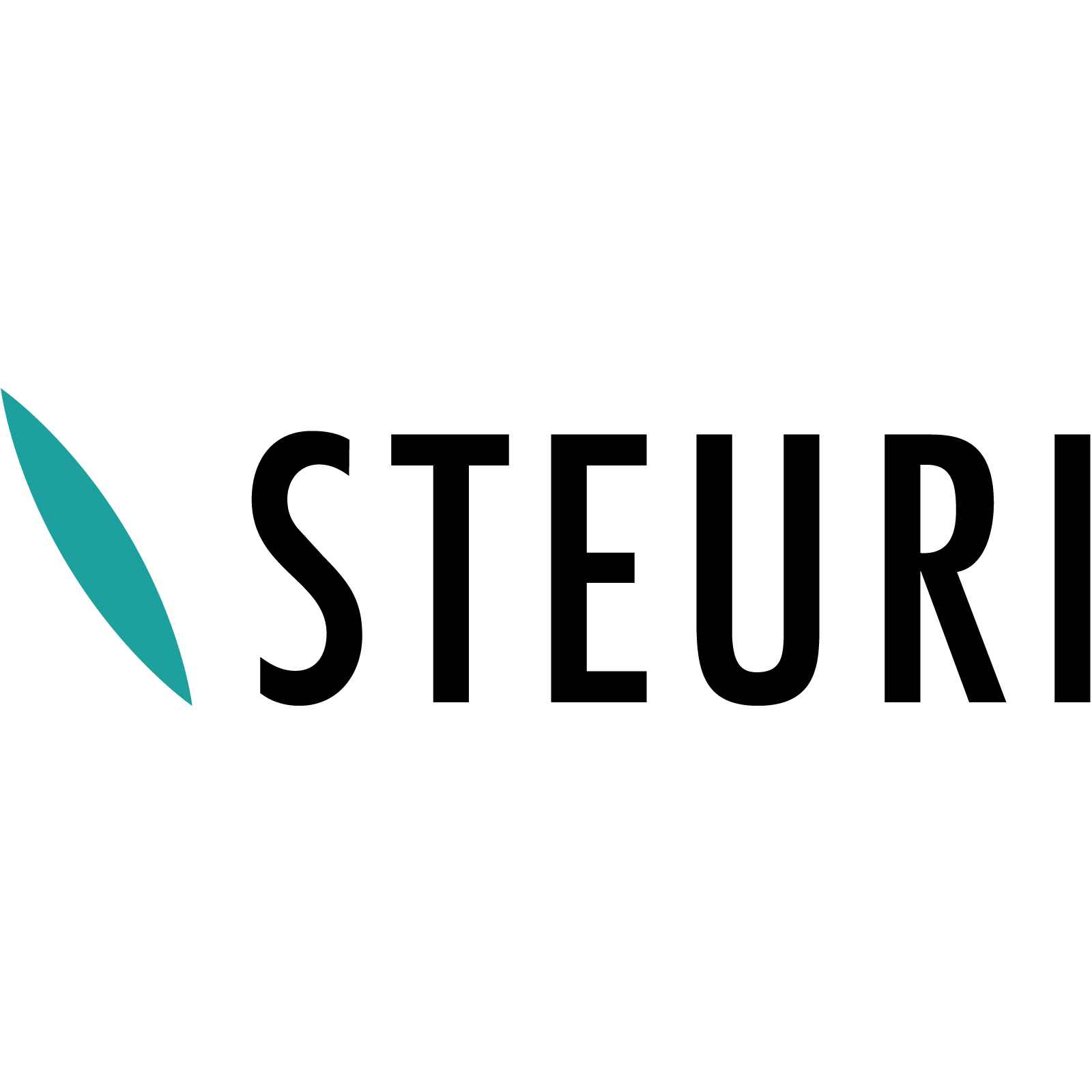 Steuri + Partner AG Logo