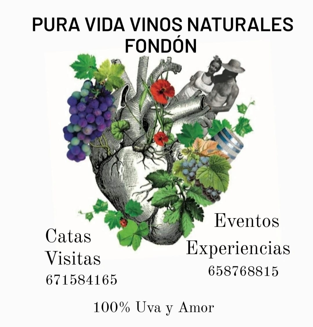 Images Bodegas Pura Vida
