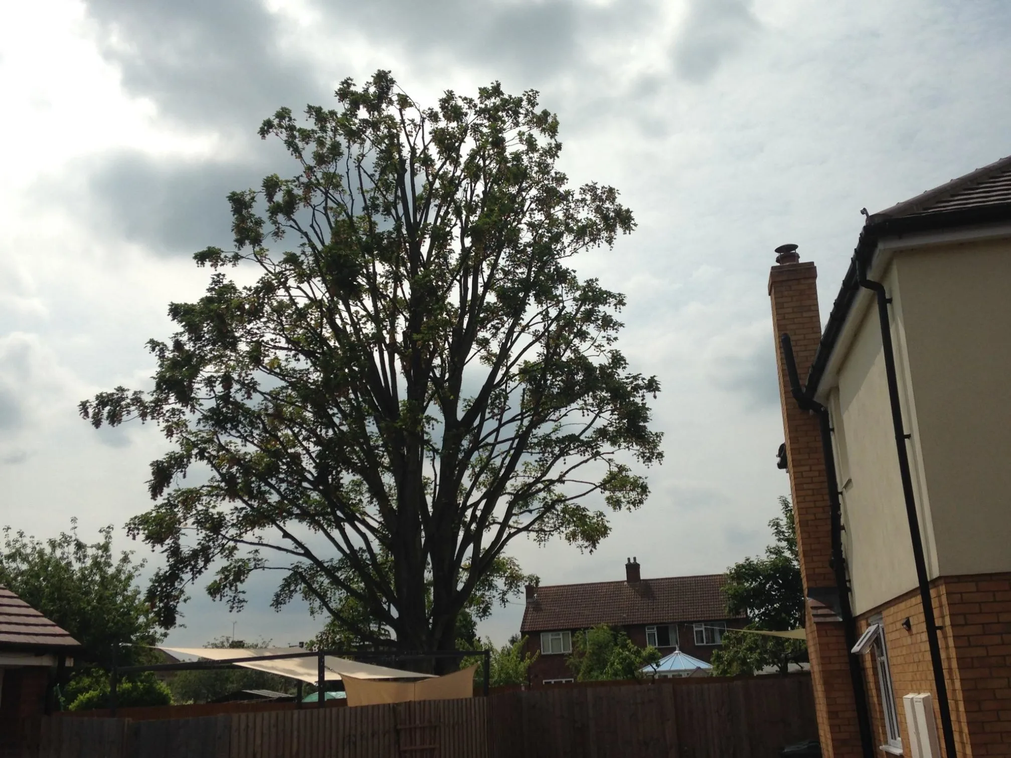 Images Ms Tree Care Ltd
