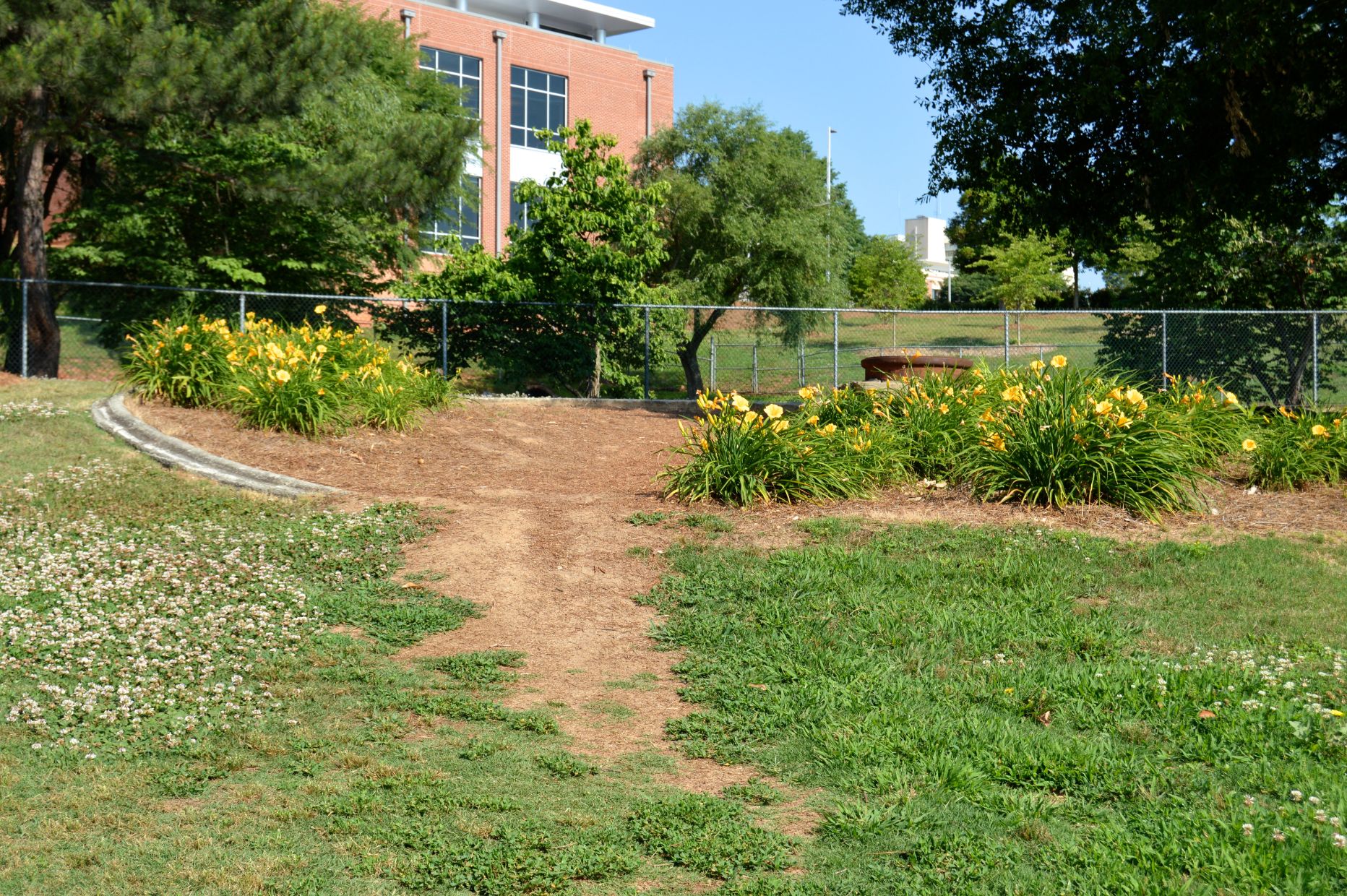 University Garden Photo