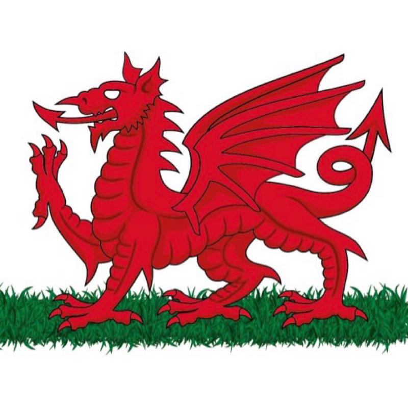South Wales Turf Logo