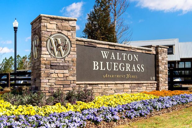 Images Walton Bluegrass & The Legacy at Walton Bluegrass (62+)