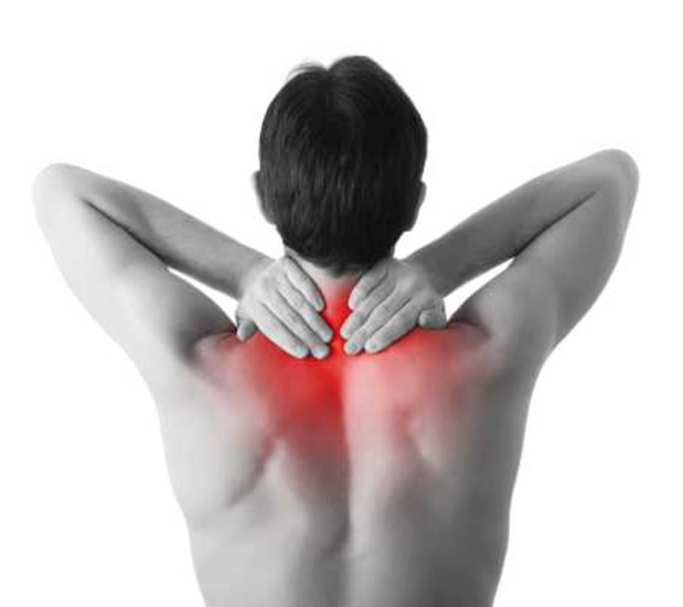 Images Smith Chiropractic