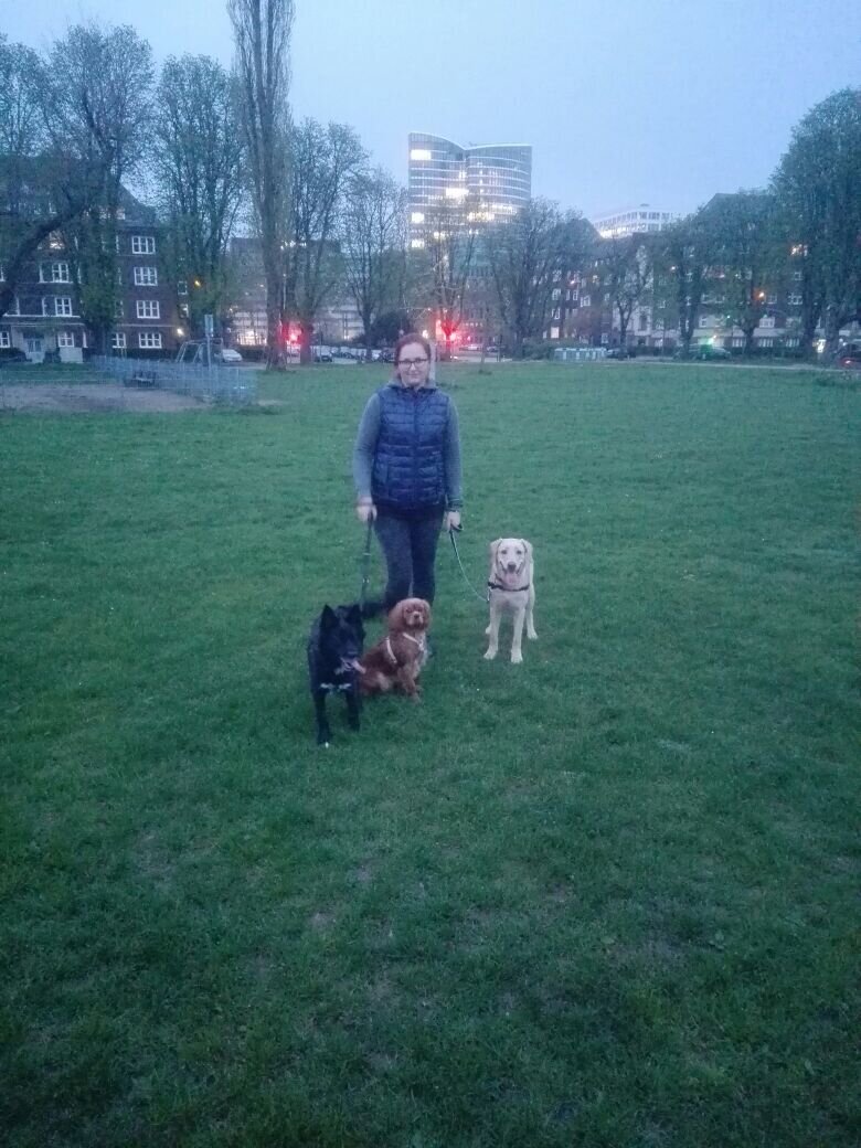 Bilder Hundezentrum Lapki