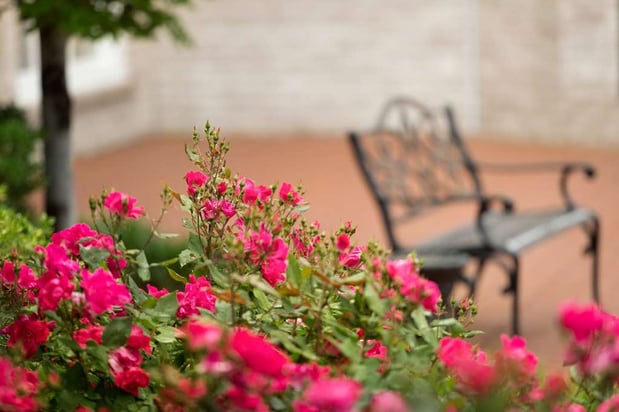 Images Hilton St. Louis Frontenac