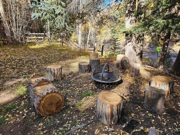 Images H & S Tree Care