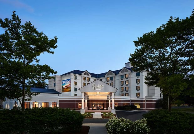 Images Graduate by Hilton Storrs