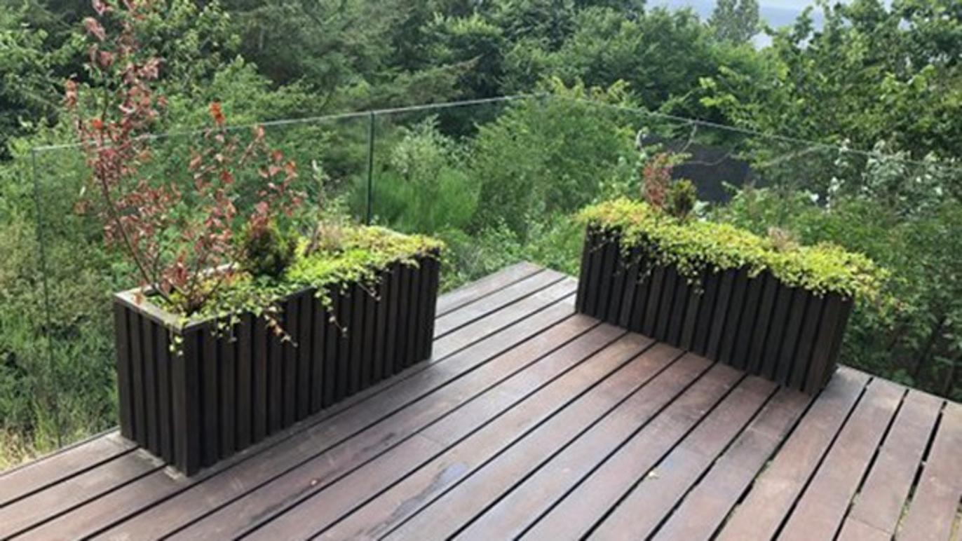 Images Glarmester Vangsaae ApS