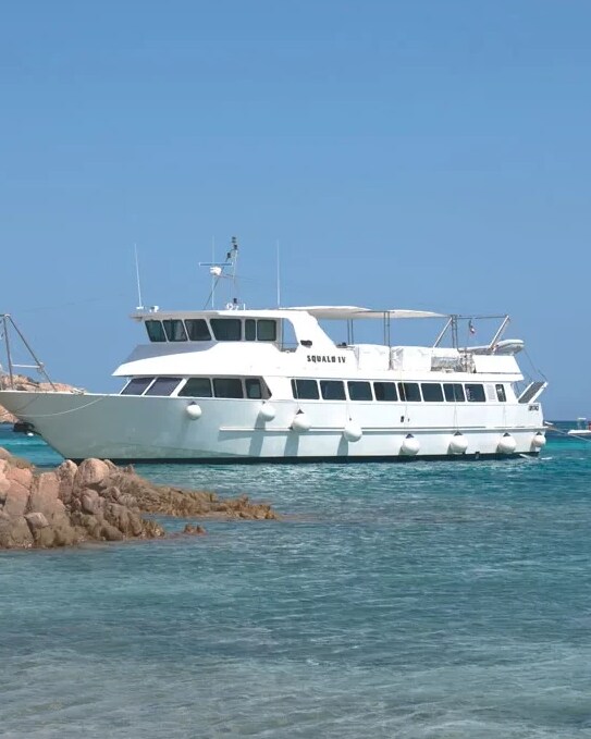 Images Flotta del Parco - Squalo IV