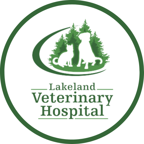 Lakeland Veterinary Hospital logo Lakeland Veterinary Hospital Baxter (218)829-1709