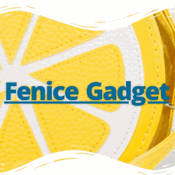 Fenice Gadget Logo