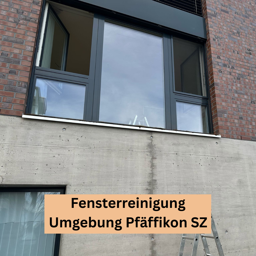 Bilder Sopa Reinigung