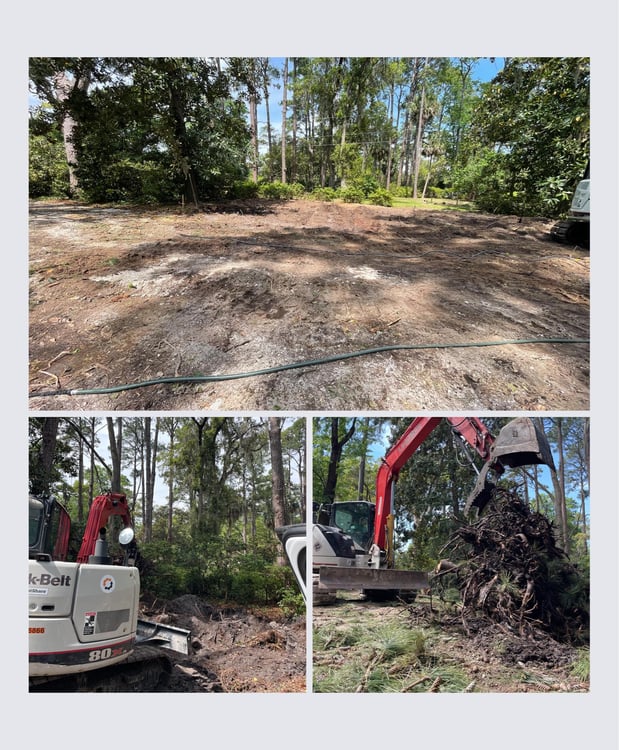 Images Magana Tree Service