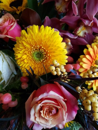 Images The Flower Petaler