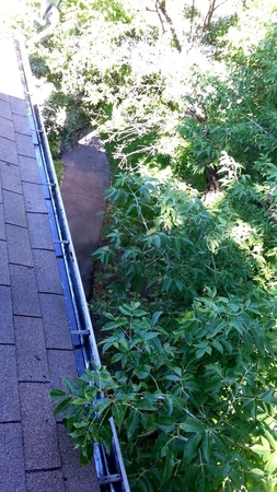 Images High Maintenance Services