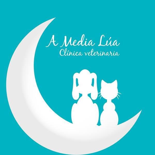 A Media Lúa Logo